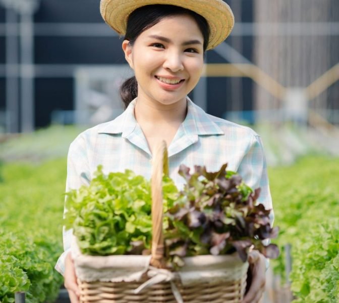 woman-picking-hydroponics-vegetables-in-the-farm-grows-wholesale-hydroponic-vegetables-in-restauran-e1697617620761.jpg